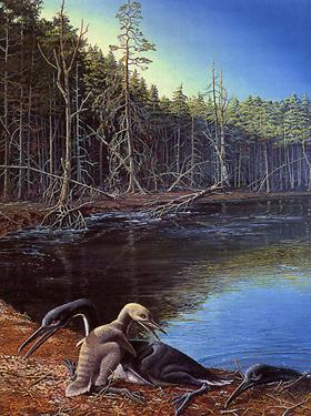 1Hesperornis