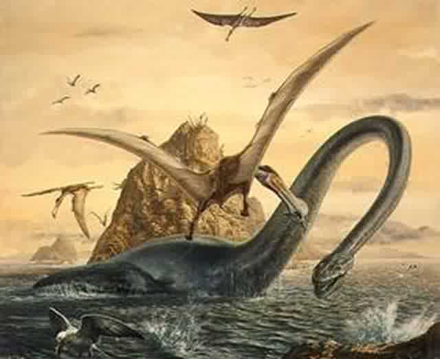 elasmosaurus